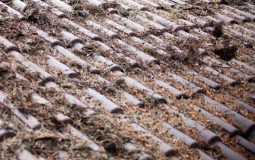 Warlingham roof cleaning companies